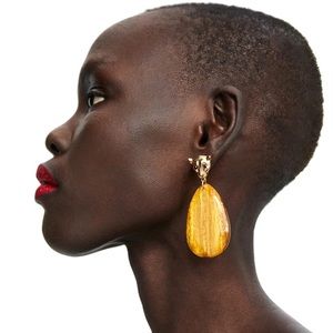 🖤Sale🖤 Zara Earrings